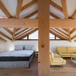 Appartement Alpinloft Tirol Bad Häring