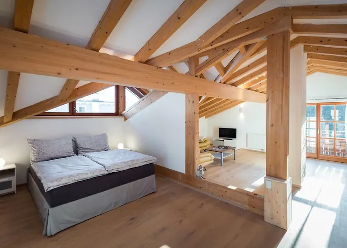 Alpinloft Tirol شقة باد هارينغ