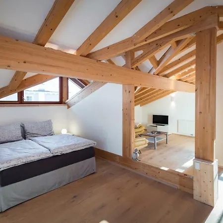 Alpinloft Tirol Apartment Bad Häring