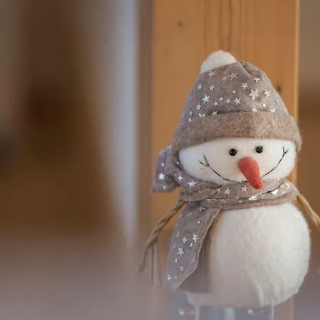 Apartment Alpinloft Tirol *