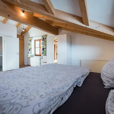 Alpinloft Tirol Bad Häring